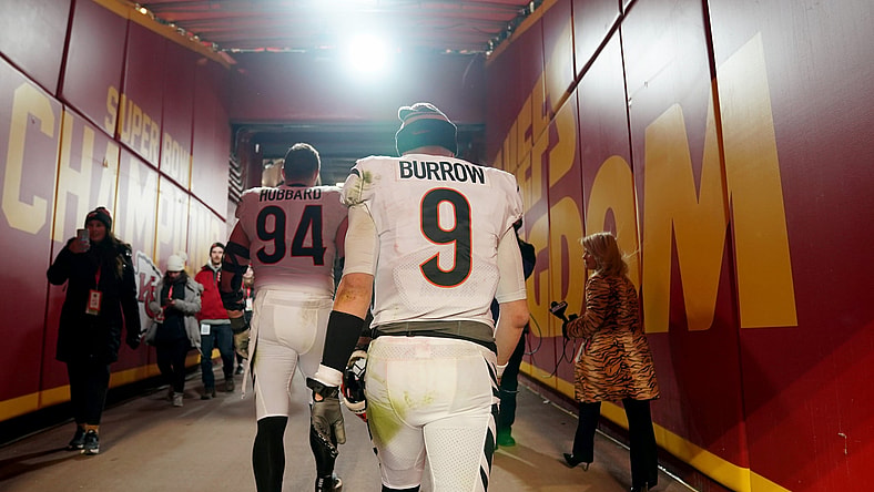 cincinnati bengals