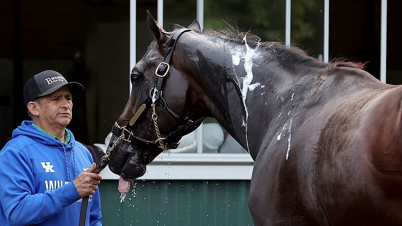 Jun 7, 2023; Elmont, New York, USA; Belmont Stakes contender Forte is bathed after a morning workout at Belmont Park. Mandatory Credit: Brad Penner-USA TODAY Sports