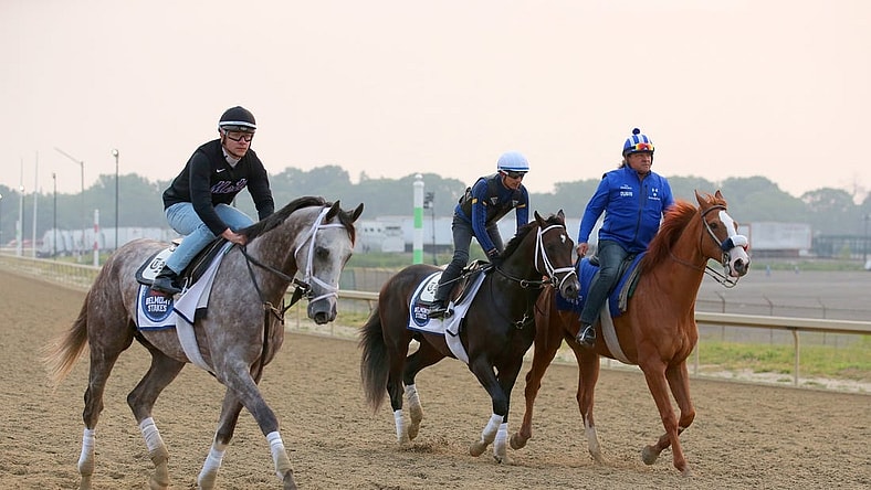 Jun 7, 2023; Elmont, New York, USA; Belmont Stakes contenders Tapit Trice (left) and Forte (center) are walked along the training track after a morning workout at Belmont Park. Mandatory Credit: Brad Penner-USA TODAY Sports