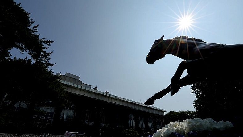 Jun 10, 2023; Elmont, New York, USA; A statue of Secretariat in the paddock area at Belmont Park. This year marks the 50th anniversary of the horse's triple crown. Mandatory Credit: Brad Penner-USA TODAY Sports
