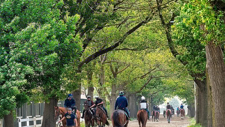 Wednesday morning activity at Belmont Park, as a hazardous smoke filled haze has prompted NYRA officials to cancel morning training for Thursday, June 8, 2023.