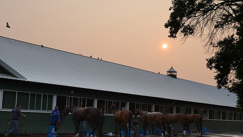belmont stakes
