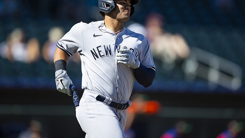 Oct 26, 2022; Surprise, Arizona, USA; New York Yankees designated hitter Jasson Dominguez plays for the Mesa Solar Sox during an Arizona Fall League baseball game at Surprise Stadium. Mandatory Credit: Mark J. Rebilas-USA TODAY Sports