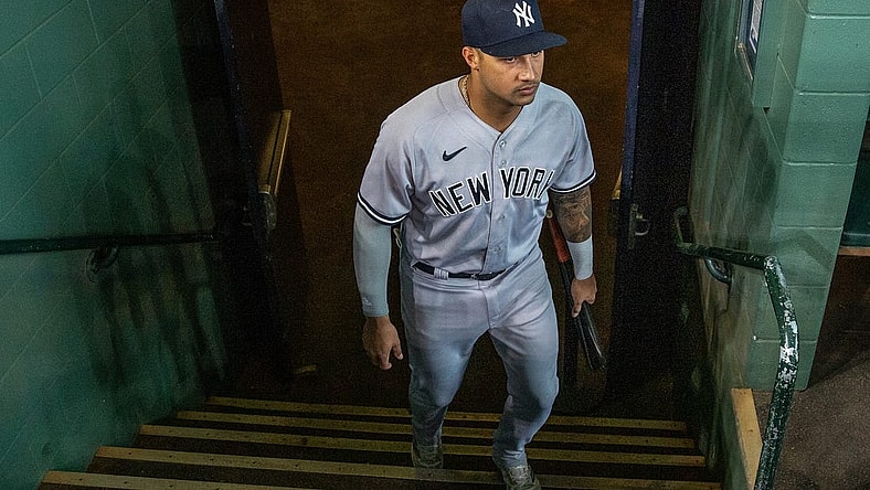 Sep 2, 2023; Houston, Texas, USA;  New York Yankees center fielder Jasson Dominguez (89) enters the dugout before playing against the Houston Astros at Minute Maid Park. Mandatory Credit: Thomas Shea-USA TODAY Sports