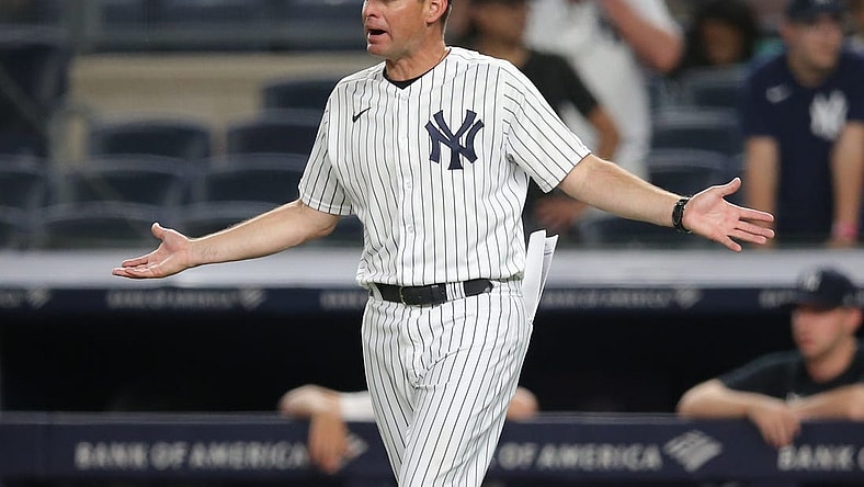 Jun 6, 2021; Bronx, New York, USA; New York Yankees bench coach Carlos Mendoza (64) reacts after being ejected during the tenth inning against the Boston Red Sox at Yankee Stadium. Mandatory Credit: Brad Penner-USA TODAY Sports