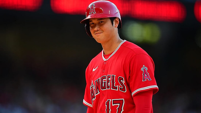 Los Angeles Angels designated hitter Shohei Ohtani (17) could be headed for a $500 million payday in free agency. Mandatory Credit: Gary A. Vasquez-USA TODAY Sports