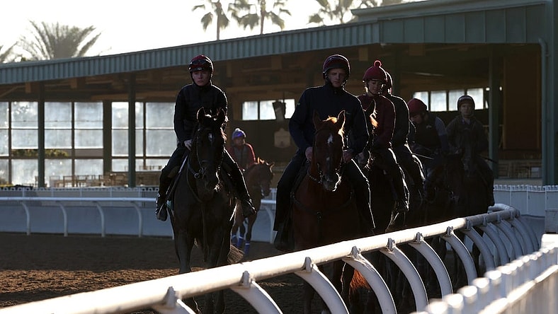 Nov 2, 2023; Santa Anita, CA, USA;  Horses train during the Breeders' Cup morning workouts at Santa Anita Park. Mandatory Credit: Kiyoshi Mio-USA TODAY Sports