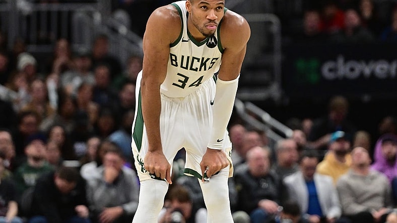 Nov 13, 2023; Milwaukee, Wisconsin, USA; Milwaukee Bucks forward Giannis Antetokounmpo (34) looks on during a timeout in the fourth quarter against the Chicago Bulls at Fiserv Forum. Mandatory Credit: Benny Sieu-USA TODAY Sports