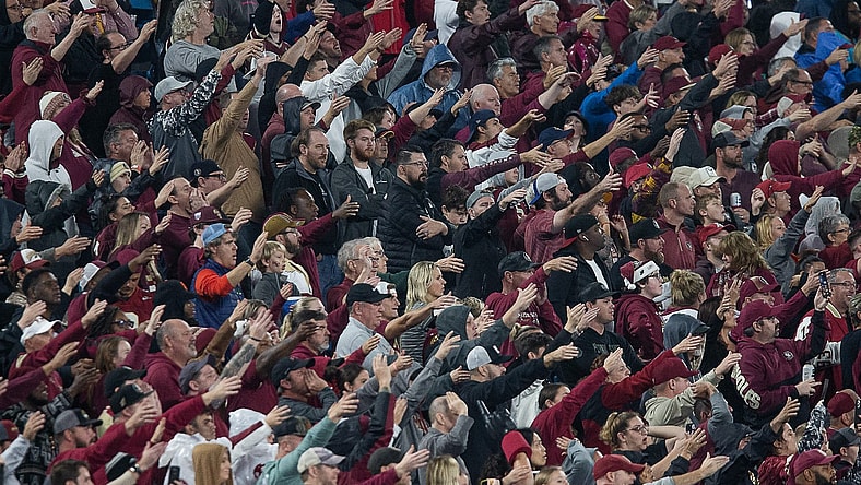 Florida State board: FSU fans