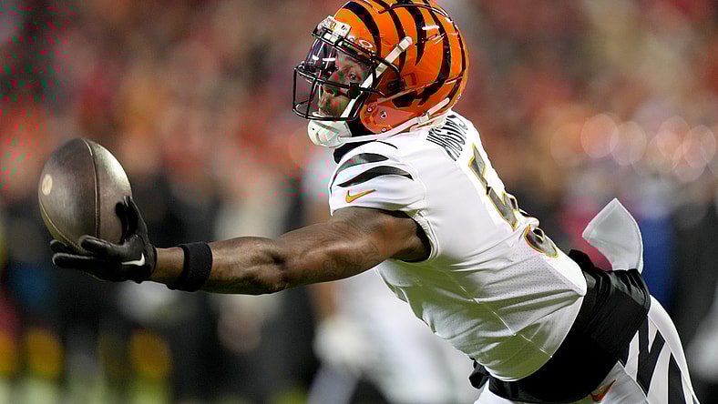 Tee Higgins: great catch