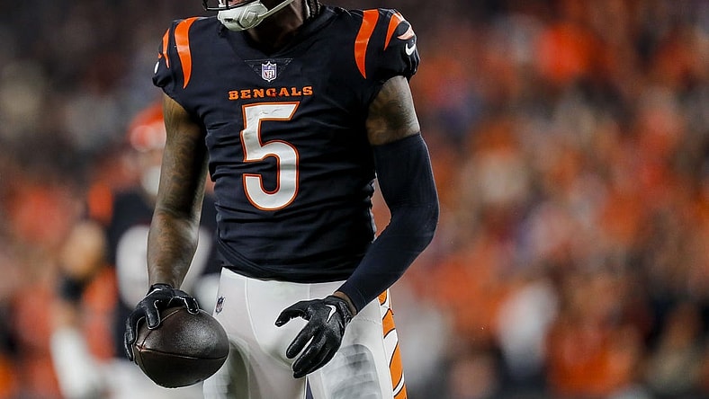 Nov 5, 2023; Cincinnati, Ohio, USA; Cincinnati Bengals wide receiver Tee Higgins (5) reacts after advancing the ball against the Buffalo Bills in the second half at Paycor Stadium. Mandatory Credit: Katie Stratman-USA TODAY Sports