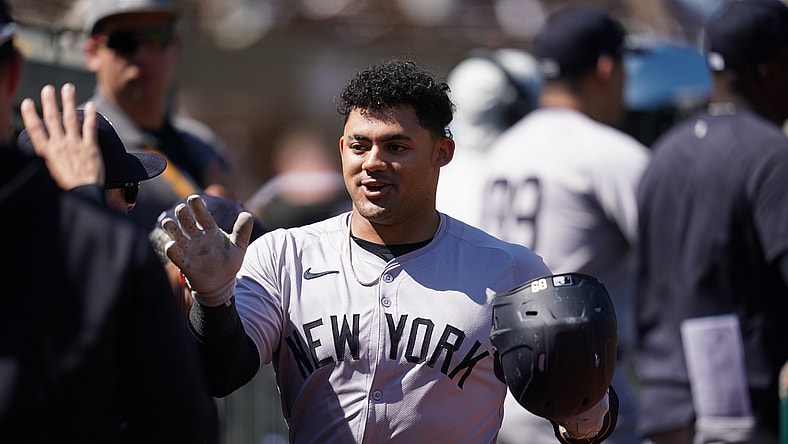 Jasson Dominguez, New York Yankees