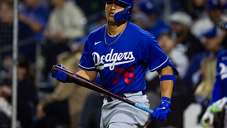 Diego Cartaya, Los Angeles Dodgers