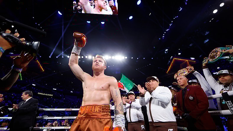 canelo alvarez next fight