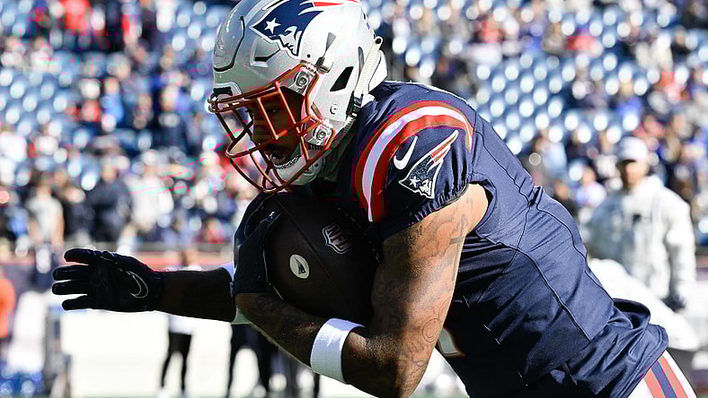 New England Patriots, Ja'Lynn Polk