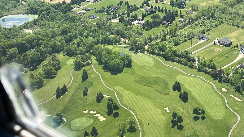 Syndication: Observer and?Eccentric