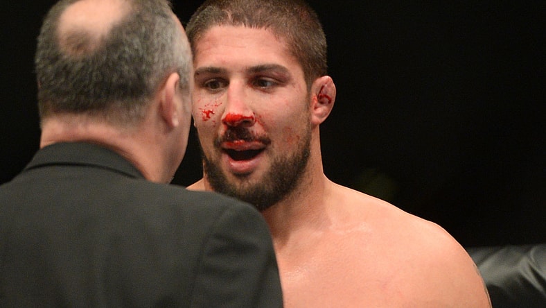 brendan schaub