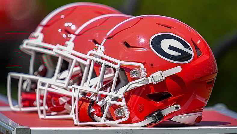 georgia bulldogs