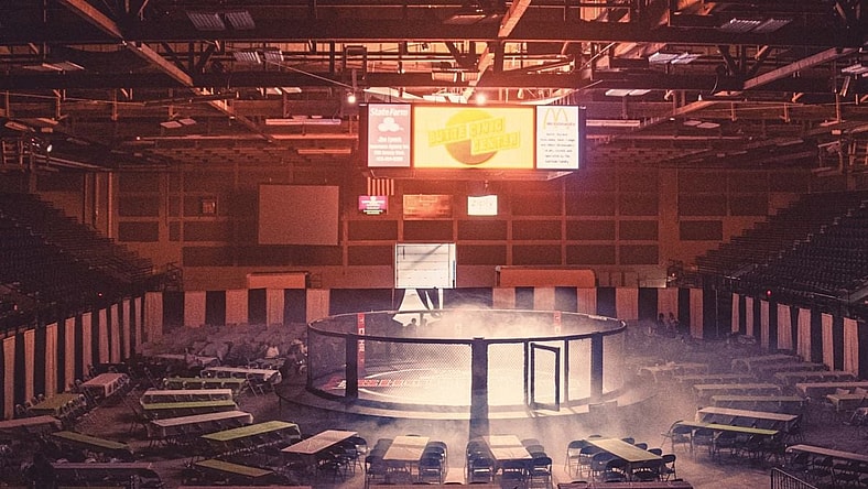 10 Best MMA Fighters Of All Time Unsplash