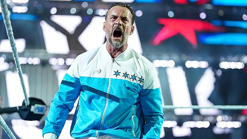 cm punk