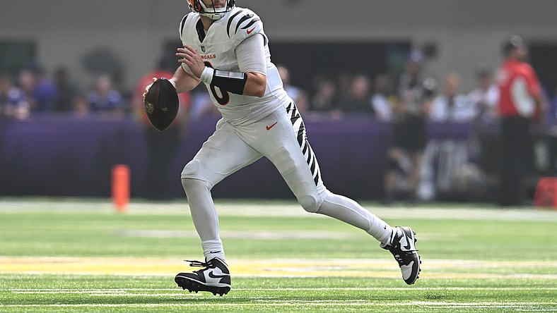 NFL: Cincinnati Bengals at Minnesota Vikings