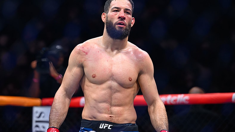 ufc middleweight rankings