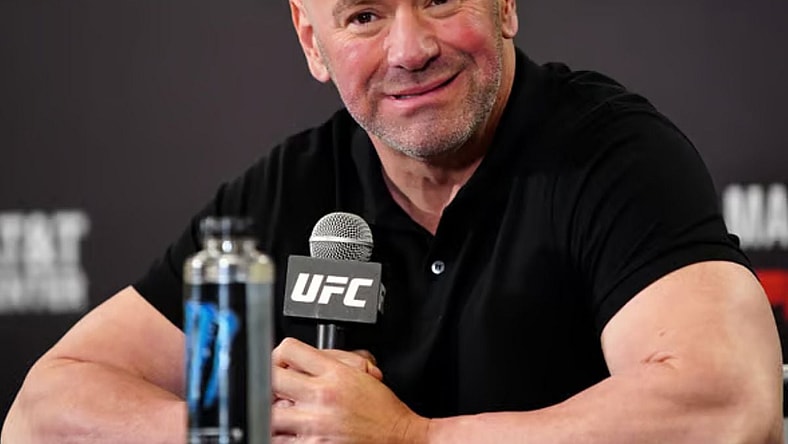 Who Owns The UFC USA Today News