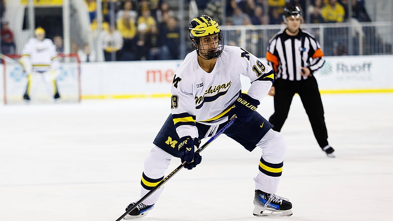 NCAA Hockey: Penn State at Michigan