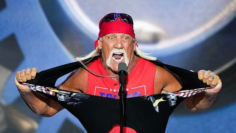 hulk hogan