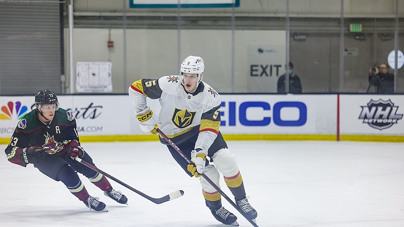 Daniil Chayka Vegas Golden Knights prospect (Photo- Vegas Golden Knights via Twitter)