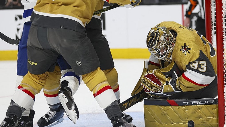 Vegas Golden Knights Game, Adin Hill