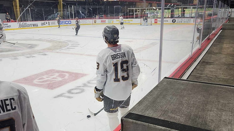Brendan Brisson, Vegas Golden Knights
