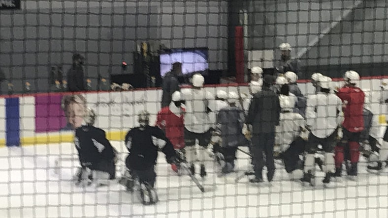 Henderson Silver Knights training camp