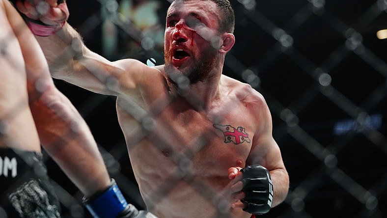 ufc pound for pound rankings