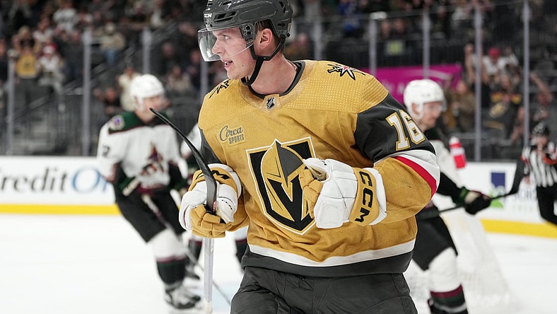 Pavel Dorofeyev, Vegas Golden Knights, Golden Knights lines