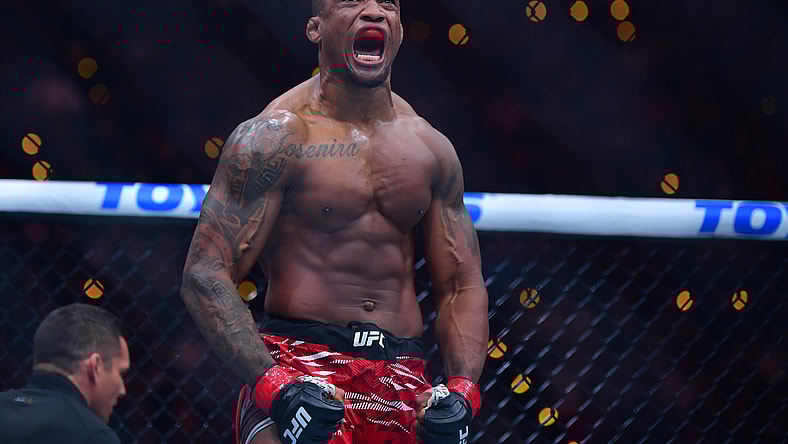 ufc heavyweight rankings