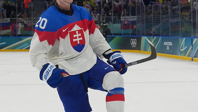 Olympics: Ice Hockey-Men Group B - SWE-SVK