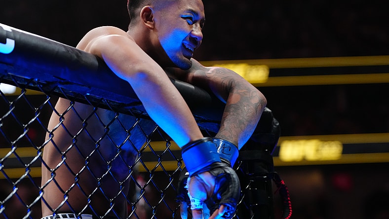 ufc flyweight rankings