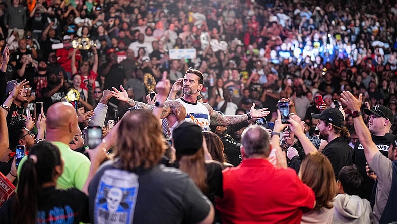 cm punk