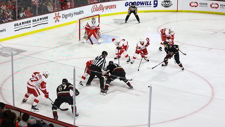 NHL: Detroit Red Wings at Arizona Coyotes