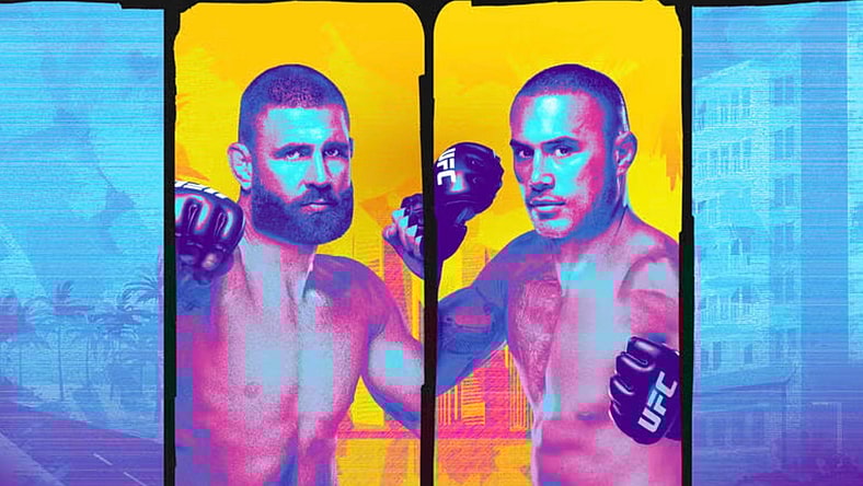 ufc 327 prochazka vs ulberg