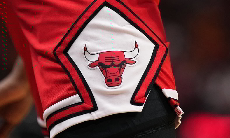 bulls