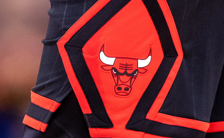 bulls