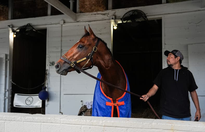 kentucky derby