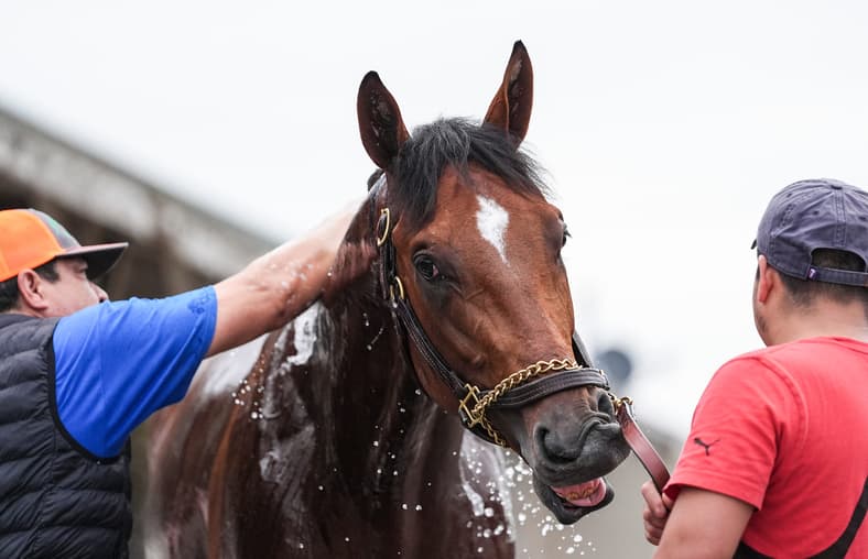 kentucky derby