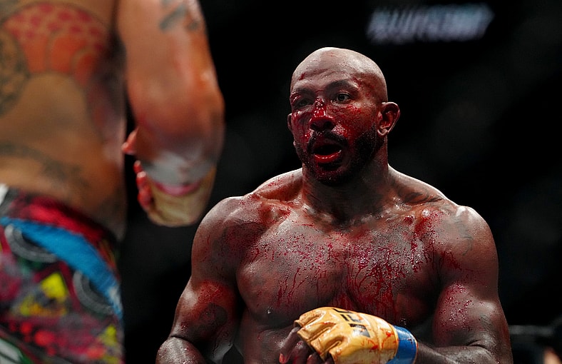 ufc light heavyweight rankings