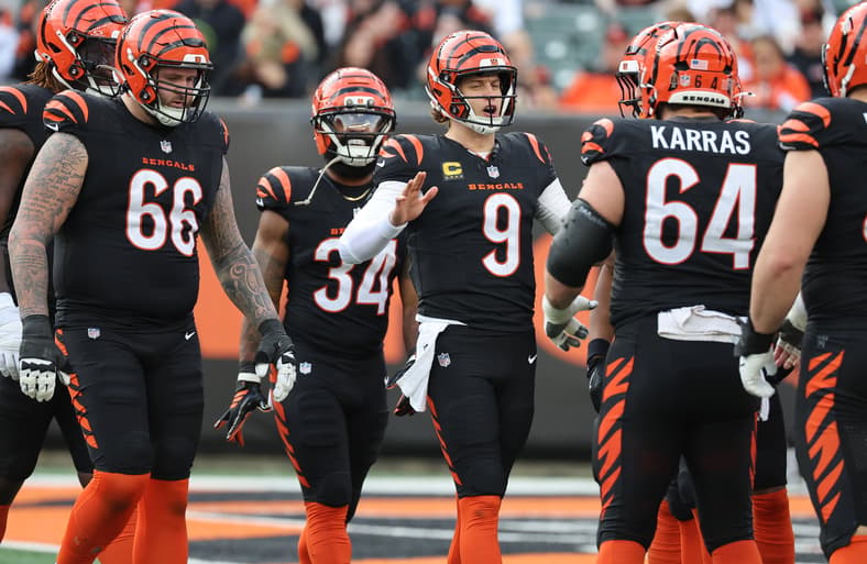 NFL: Arizona Cardinals at Cincinnati Bengals