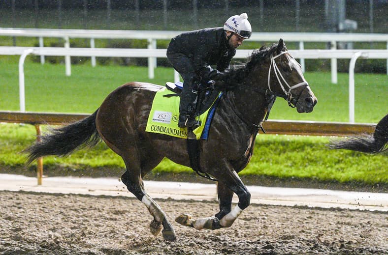 belmont stakes