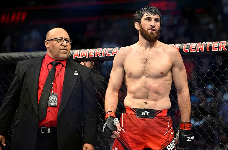 ufc light heavyweight rankings