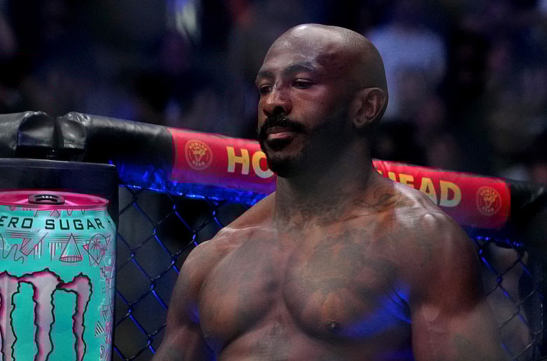 ufc light heavyweight rankings